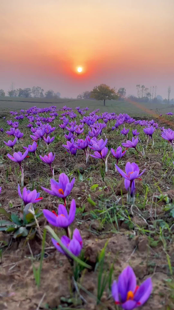 Feature product image